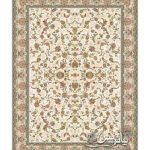 طرح شهسوار کرم - پاتریس