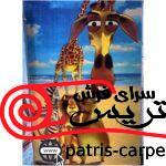 فرش اتاق کودک ماداگاسکار
