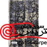 فرش ماشینی مهیار دلیجان 700 شانه 1070 وینتیج سانا (کهنه نما) - تصویر 3