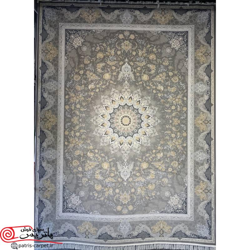 01 p005 موشی