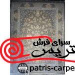 p009 موشی