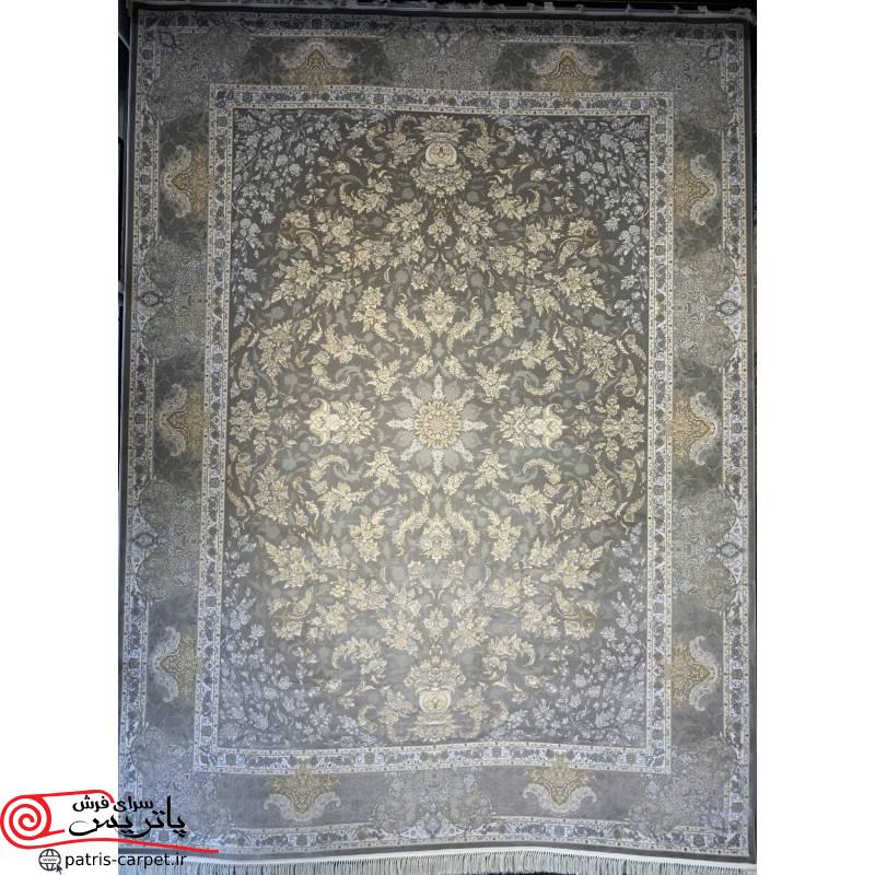 01 p009 موشی