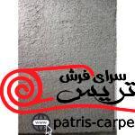 شگی فلوکاتی طوسی موشی مهیار دلیجان
